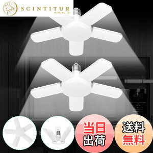 �y���������zJornarshar �~�j LED���C�g �K���[�W���C�g 60W 2�� ���� ������ LED�d�� 6500K �V��Ɩ� ��t�ȒP �H���s�v �p�x���߉\ �J�[�|�[�g �Ԍ� �q�� �[�� ��Ɠ� �����F