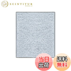 �y���������z201337-0093H ���X�@�򐅃t�B���^�[ 2013370093H �򐅃t�B���^�[ 201337-0093 �①�Ƀt�B���^�[ 2013370093 ���X�@ SJ-PW37K �①�ɗp SJ-GK50K �t�B���^�[ SJ-GW35J �①�� SJ-F502E �������X�p SJ-F502F 