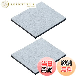 �y���������z201337-0093H ���X�@�򐅃t�B���^�[ 2013370093H �򐅃t�B���^�[ 201337-0093 �①�Ƀt�B���^�[ 2013370093 ���X�@ SJ-GT42E �①�ɗp SJ-MF43K �t�B���^�[ SJ-MF43M �①�� SJ-MF46K SJ-MF46M SJ-MF50K SJ-MF51M 