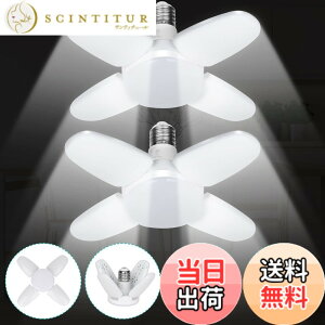 �y���������zJornarshar ���~�j LED���C�g �K���[�W���C�g 45W 2�� ���� ������LED�d�� 6500K �V��Ɩ� ��t�ȒP �H���s�v �p�x���߉\ �J�[�|�[�g �Ԍ� �q�� �[�� ��Ɠ� �����F