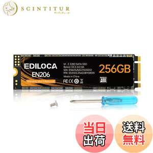 �y���������zEDILOCA EN206 SSD 256GB M.2 2280 3D TLC NAND�t���b�V������ SATA III 6Gbps �G���[�����@�\ �����d�� �ϏՌ� �����^SSD Ediloca3�N (256GB)