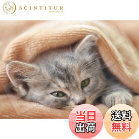 【送料無料】エポック社 108ピース ジグソーパズル いきもの/ペット ねこ おきませんので (18.2x25.7cm) 03-090 のり付き ヘラ付き 点数券付き EPOCH