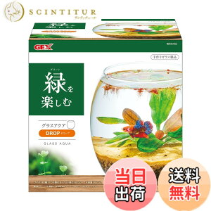 �y���������zGEX AQUARIUM �O���X�A�N�A �h���b�v-N �A�N�A���E�� ���^���� ���� �e�����E��