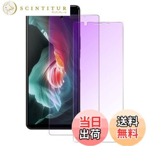 �y���������z�y�u���[���C�g�J�b�g�z Xperia10 II �p �K���X�t�B���� �u���[���C�g SO-41A SOV43 �t�B���� �G�N�X�y���A 10 �}�[�N2 �����K���X �t���ی�t�B���� �y�C�A�[��/�w��h�~/�d�x9H/�\��t