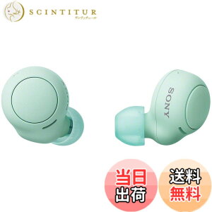 �y���������z�\�j�[(SONY) ���S���C�����X�C���z�� WF-C500 : /�y�ʏ��^5.4g/�����x�ʘb�i��/�ȒP�y�A�����O/IPX4�h�H���\/�A�C�X�O���[�� WF-C500 GZ