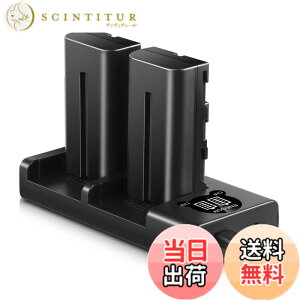 �y���������zENEGON Sony NP-F550/NP-F570�݊��o�b�e���[�i2�j2900mAh+USB�[�d�� �Ή�NP-F530/ NP-F550 /NP-F570/ NP-F330/ CCD-RV100/ RV200/ TR1 /TR940 /TR917 /CN-160 /CN-216 /CN-304 /YN 300 /V607u /V617u