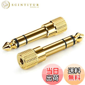 �y���������zAncable �C���z���W���b�N �ϊ� �v���O 2�{ �X�e���I�~�j�v���O 6.35mm 3.5mm �ϊ� �A�_�v�^ ���X�I�X �w�b�h�z�� �A���v �d�q�s�A�m �C���z���ȂǗp