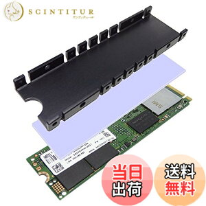 �y���������z�e�a�Y�� �������쏊 M.2 SSD�p�q�[�g�V���N SS-M2S-HS01