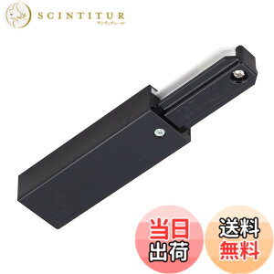 �y���������z���Ń��C�e�b�N ���C�e�B���O���[��VI�` �t�B�[�h�C���L���b�v(��) NDR0231(K)