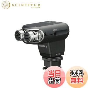 �y���������zSONY �X�e���I�}�C�N���z�� ECM-XYST1M