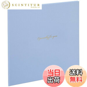 �y���������z�i�J�o���V �t�@�C�� V�J�b�g�}�b�g�ʐ^�䎆 L��2�� �X�N�G�A�^�C�v �u���[ VML-101-B