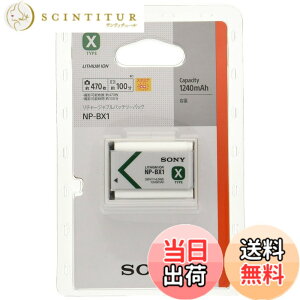 �y���������zSONY ���`���[�W���u���o�b�e���p�b�N X�^�C�v NP-BX1