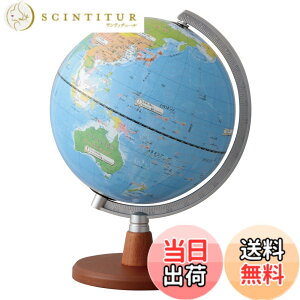 �y���������z���C���C���� �n���V �搶�������ߏ��w���̒n���V 20cm OYV11