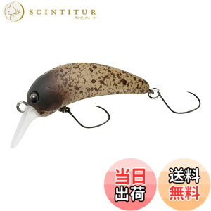 �y���������zYARIE(�����G) No.679 �S�[�g�X�^�[ F 2.4g (C41 MB light)