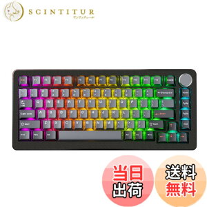 �y���������zDrunkDeer A75 Pro ���C�X�C�b�`�L�[�{�[�h ���s�b�h�g���K�[ ���J�j�J���Q�[�~���O�L�[�{�[�h ���߉\�ȃA�N�`���G�[�V�����z�[���X�C�b�` RGB PBT �L�[�L���b�v �R���p�N�g TKL 82