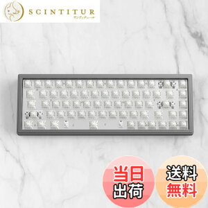 �y���������zDrunkDeer G65 ���s�b�h�g���K�[ ���J�j�J���L�[�{�[�h ���C�X�C�b�` �A���~�j�E���P�[�X USB�L�� TKL �R���p�N�g 82�L�[ RGB �L�[�L���b�v�Ȃ��A�X�y�[�X�O���[