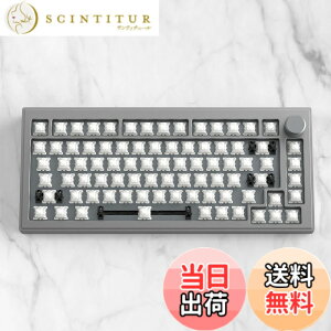 �y���������zDrunkDeer A75 ���s�b�h�g���K�[ ���J�j�J���L�[�{�[�h �A���~�j�E���P�[�X TKL ���C�X�C�b�` �R���p�N�g 82�L�[ �L�� RGB �L�[�L���b�v�Ȃ� �m�u�t�� �X�y�[�X�O���[