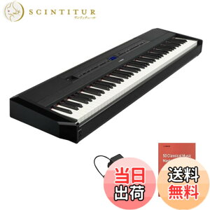 �y���������z���}�n �d�q�s�A�m P-525B P�V���[�Y 88���� �ؐ����� �{�i�I�^�b�`�� �R���p�N�g �����^�� �A�v�� �u���b�N