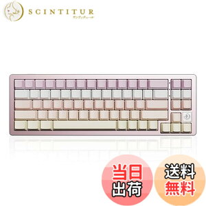 �y���������zYUNZII AL71 68% �Q�[�~���O�L�[�{�[�h �t���A���~CNC �z�b�g�X���b�v�Ή� ���� �K�X�P�b�g ���J�j�J���L�[�{�[�h NKRO 2.4GHz���C�����XBT5.0/USB-C �L�� RGB�o�b�N���C�g Win/Mac�p �����蕨