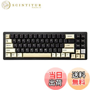 �y���������zYUNZII AL71 68% �Q�[�~���O�L�[�{�[�h �t���A���~CNC �z�b�g�X���b�v�Ή� ���� �K�X�P�b�g ���J�j�J���L�[�{�[�h NKRO 2.4GHz���C�����XBT5.0/USB-C �L�� RGB�o�b�N���C�g Win/Mac�p �����蕨