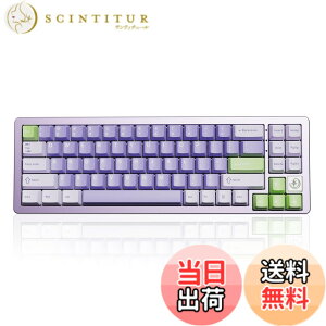 �y���������zYUNZII AL71 68% �Q�[�~���O�L�[�{�[�h �t���A���~CNC �z�b�g�X���b�v�Ή� ���� �K�X�P�b�g ���J�j�J���L�[�{�[�h NKRO 2.4GHz���C�����XBT5.0/USB-C �L�� RGB�o�b�N���C�g Win/Mac�p �����蕨