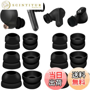 �y���������zA-Pcas �_�u���t�����W �C���[�s�[�X 2�t�����W�C���[�s�[�X �C���[�`�b�v TWS�J�i���^�C���z���p Sony�p1000xm5�p1000xm4�pSoundcore�pJBL�J�i���^�C���z���p �����p�V���R���� �Z��TWS��