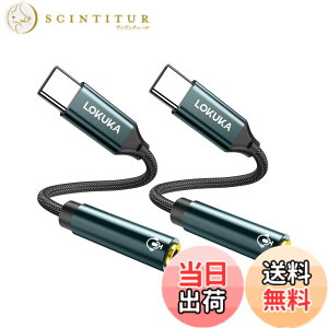 �y���������zLOKUKA usb c �C���z���W���b�N 2�Z�b�g�y�n�C���]�Ή� 24bit DAC�����z ���ϋv �ʘb/���ʒ���/���y�Đ��Ή� type c �C���z���ϊ��A�_�v�^ MacBook/iPad Pro/Air/Android/usb type c �@��p 20cm LC1
