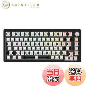 �y���������zDrunkDeer A75 ���s�b�h�g���K�[ �L�[�{�[�h ���J�j�J�� TKL �Q�[�~���O ���C�X�C�b�` RGB �������� �L�� USB �R���p�N�g 82�L�[ Type C �m�u�t�� �x�A�{�[�� �u���b�N �L�[�L���b�v�Ȃ�