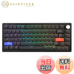 �y���������zDrunkDeer A75 ���s�b�h�g���K�[ �L�[�{�[�h ���J�j�J�� TKL ���C�X�C�b�`RGB �L�� USB �R���p�N�g�Q�[�~���O�p 82�L�[ �m�u�t�� �S�[�X�g�h�~ ���ڂ�h�~ �u���b�N