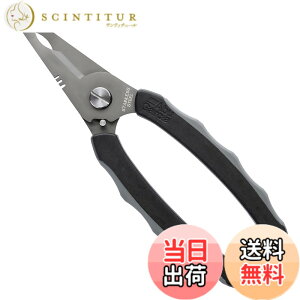 �y���������zAbuGarcia (�A�u�K���V�A) �O���b�v���b�N�t�B�b�V���O�v���C���[ �u���b�N