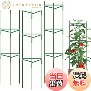 �y���������zsiawadeky �A���x�� �g�}�g�x�� �鐫�A�� �ϗt�A�� �����U�� ���R�ɑg�ݍ��킹�� �K�[�f�j���O�p�x�� �I�x���Z�b�g ���|�x�� �A���T�|�[�g ���イ��I ��ؒI �󒆍͔| �K�[�f