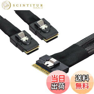 �y���������zNFHK PCI-E �E���g���|�[�g �X�������C�� SAS �X���� 4.0 SFF-8654 8i 74�s�����f���A�� SFF-8087 Mini SAS �P�[�u�� PCI-Express