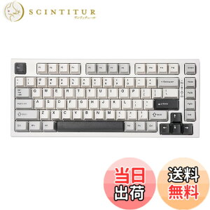 �y���������zYUNZII YZ75 75% �z�b�g�X���b�v�Ή����C�����X�Q�[�~���O�L�[�{�[�h RGB�o�b�N���C�g BT5.0/2.4G/USB-C�ADye Sub PBT�L�[�L���b�v Linux/Win/Mac�p �Z�K�F�؎擾�iGateron G Pro �Ԏ�,�z���C�g)