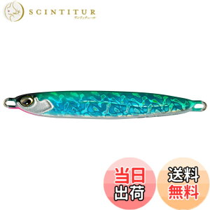 �y���������zAbuGarcia (�A�u�K���V�A) �T�[�t�X���C���[ 40g �O���[���V���o�[ SSSRFSL40G-GSVR ���^���W�O �A���}�X �C�T�N�� �� �q����