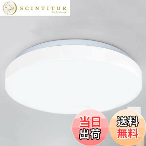 �y���������zDINGLILED LED�V�[�����O���C�g 20W 5700-6000K �����F ���^ 4�� 6�� �ی^ ���^ �y�� ���P�x �����F�� ������ �ȃG�l �ȒP��t �H���s�v PSE�F�؍ς� ���ʏ� �g�C�� ���� �k���i�����R����