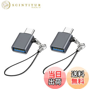 �y���������zUSB Type C & USB �ϊ��A�_�v�^ 2�Z�b�g Popolier USB3.2 Gen2 10Gbps�����]�� �^�C�vC �ϊ� OTG�Ή� MacBook Pro 2021 MacBook Air 2022 iPad Pro 2021 �y�� �ق���USB-C�@��ȂǂɑΉ� USB-C�ϊ��R�l�N�^ (2, 