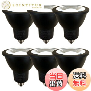 �y���������zFWAYTECH LED�X�|�b�g���C�g E11 �����F �����Ή� 6W �_�C�N���^50W-60W���� ���p30�x �_�N�g���[��LED�X�|�b�g���C�g �_�C�N���n���Q���d����ւ� �����Ή� (�����F����(5000K), �{��