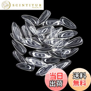 �y���������z�l�C���`�b�v MUNCVY �܌^���� �N���A �l�C���p�i 10�T�C�Y ���n �f�R���[�V���� �����O���t���� ���K�p �|�C���e�b�h �V���[�v �܂Ƀs�b�^�� ���� �l�C���A�[�g 600������ ����