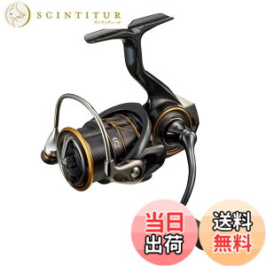 �y���������z�_�C��(DAIWA) 21 �J���f�B�A FC LT2000S-H