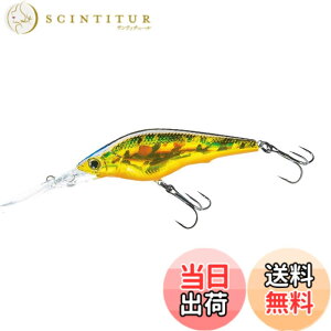 �y���������zDUEL(�f���G��) HARDCORE(�n�[�h�R�A) ���A�[ �V���b�h HARDCORE SHAD 75SF 75mm Weight:11g R1367-HGSN-�S�[���f���V���C�i�[