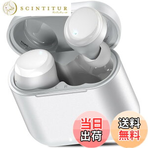 �y���������zTOZO T6 ���C�����X�C���z�� 2025 �ɏ�̉��̌� ���͂��@�ׂȉ� ���R��h�~ �h�� Bluetooth5.3 ��x�� �J�X�^��EQ ��p�A�v���Ή� ������ �ڑ��u�� �����y�A�����O �^�b�`���� �}���[