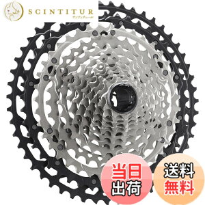 �y���������z�V�}�m(SHIMANO) CS-M8100 12S 10-45T 024681482605