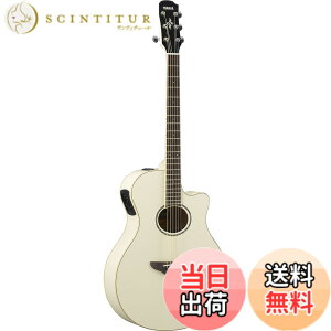 �y���������z���}�n YAMAHA �G���A�R�M�^�[ APX600 VW