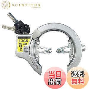 �y���������z�L���v�e���X�^�b�O(CAPTAIN STAG) �T�[�N���� [�f�B���v���L�[/��13mm/�㍷��] �O���[