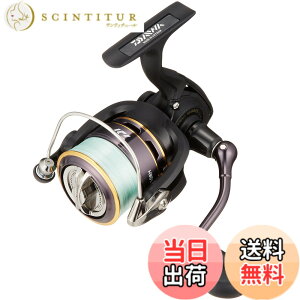 �y���������z�_�C��(DAIWA) �X�s�j���O���[��(���t��) 16 ���[�K�� 2508H PE�c�L(2016���f��)