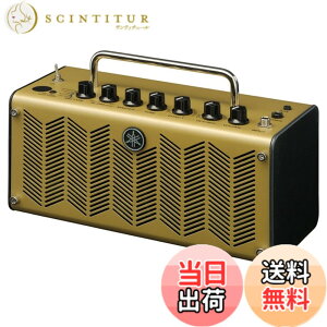 �y���������z���}�n(YAMAHA) �G���N�g���b�N�A�R�[�X�e�B�b�N�M�^�[�p�A���v THR5A