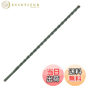 �y���������zBOSCH(�{�b�V��) SDS�v���X�r�b�gS4 22.0mm��x450mm