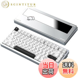 �y���������z�yWOBKEY Rainy 75�L�[�{�[�h�z�J���̂悤�ȑŌ��� ���J�j�J���L�[�{�[�h 3WAY�ڑ� OS�݊��� �z�b�g�X���b�v��VIA�̑Ή� �J�X�^�}�C�Y�� �K�X�P�b�g�f�U�C�� �A���~�j�E���f�ގg�p RG