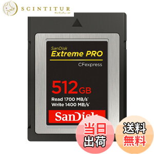 �y���������z�y �T���f�B�X�N ���K�i �z CFexpress Type B 512GB �ő�ǎ�葬�x 1700MB/�b SanDisk Extreme PRO SDCFE-512G-GH4NN