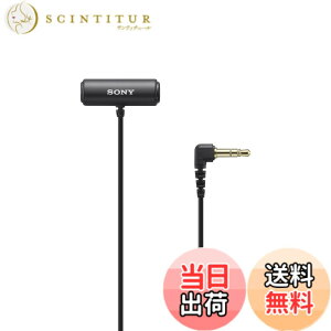 �y���������zSONY(�\�j�[) �J�����p�}�C�N ���x���A�}�C�N���z�� ECM-LV1